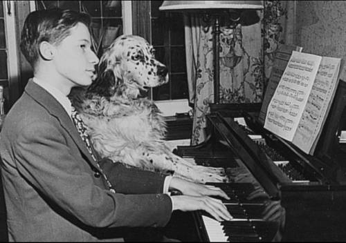 Duet for Two Hands Two Paws Glen-gould